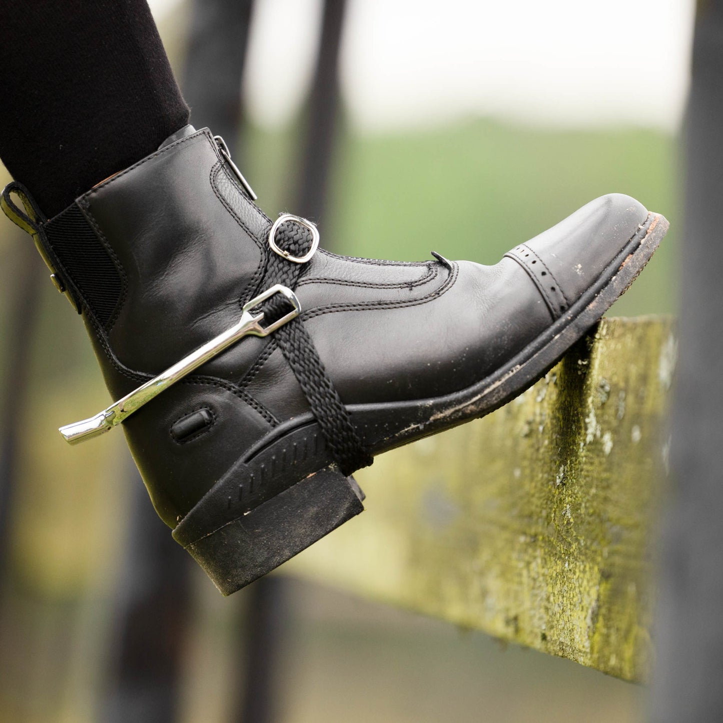 HORZE ACICATES CON CORREA MOD. 39702