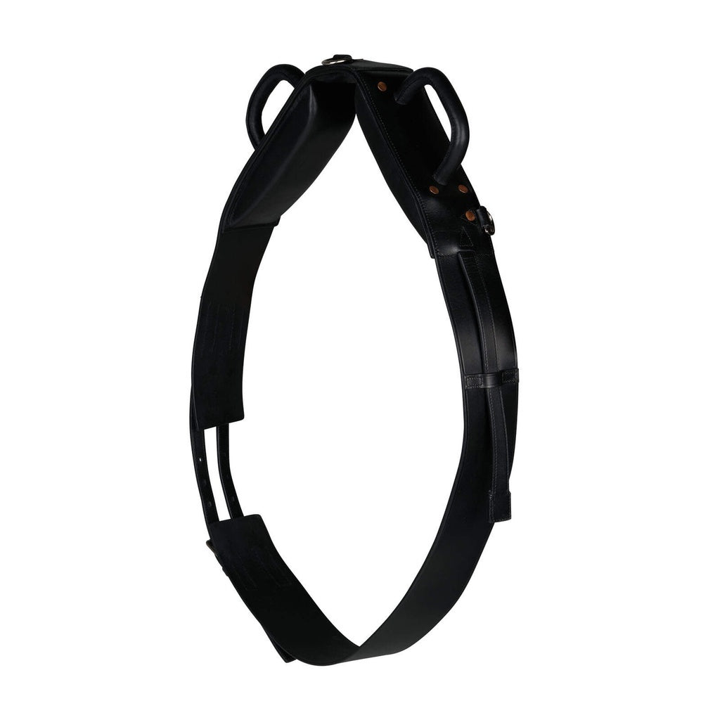 HORZE CINCHO PARA ENTRENAMIENTO MOD. 14678