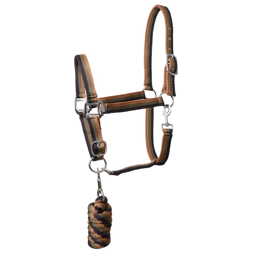 HORZE CABEZADA CON PASEADOR MOD. 22345