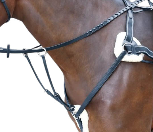 SHIRES MARTINGALA ROSSANO FIVE POINTS MOD. 55004