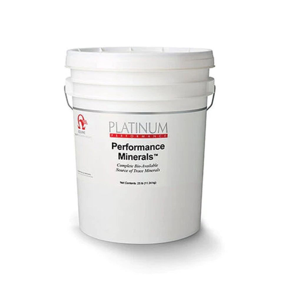 PLATINUM MINERALS