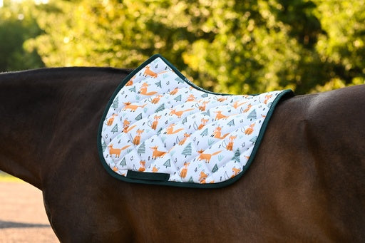 DREAMERS & SCHEMERS CARONA MOD. SPFH23-57 (THINK OUTSIDE THE FOX)