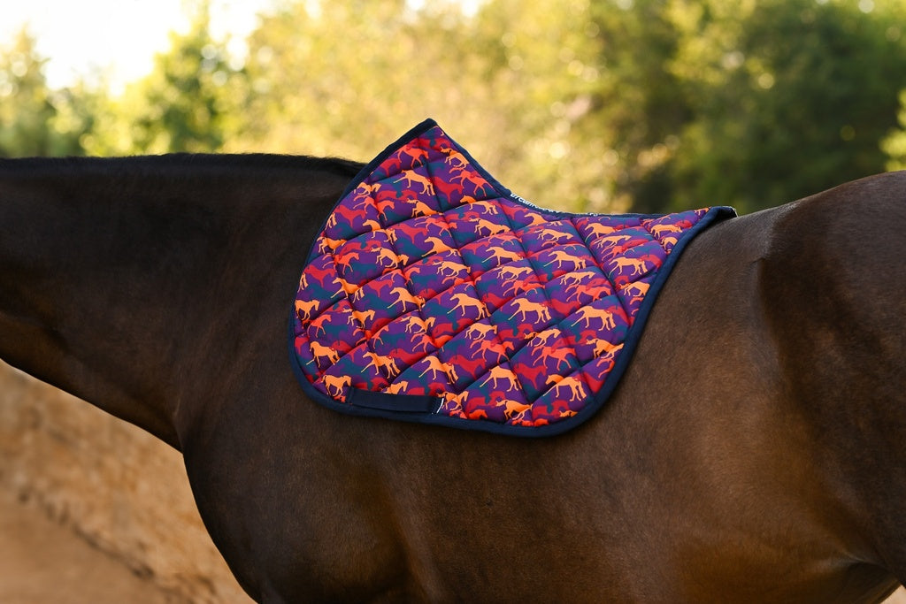 DREAMERS & SCHEMERS CARONA MOD. SPFH23-02 (ALLPONY FALL COLORS)