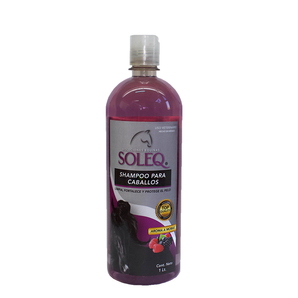 SOLEQ SHAMPOO MORAS