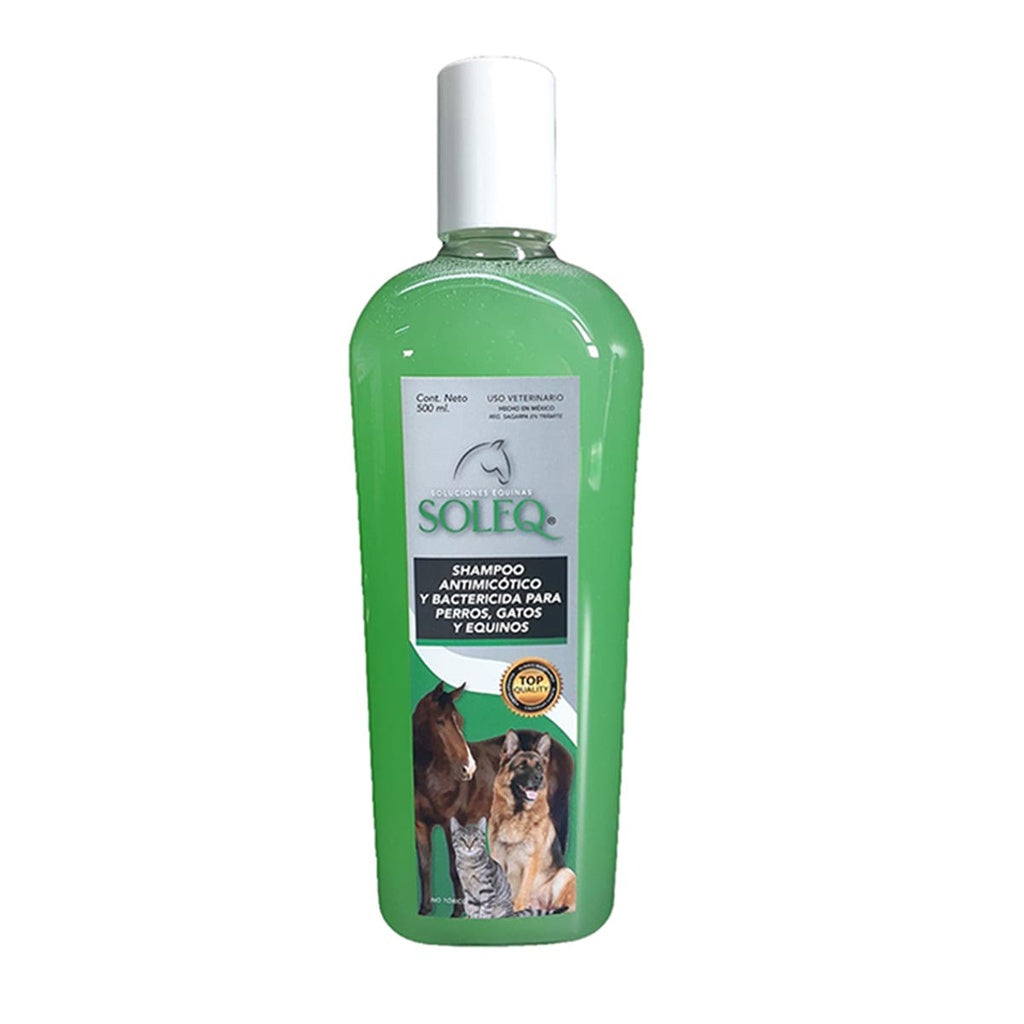 SOLEQ SHAMPOO ANTIHONGOS