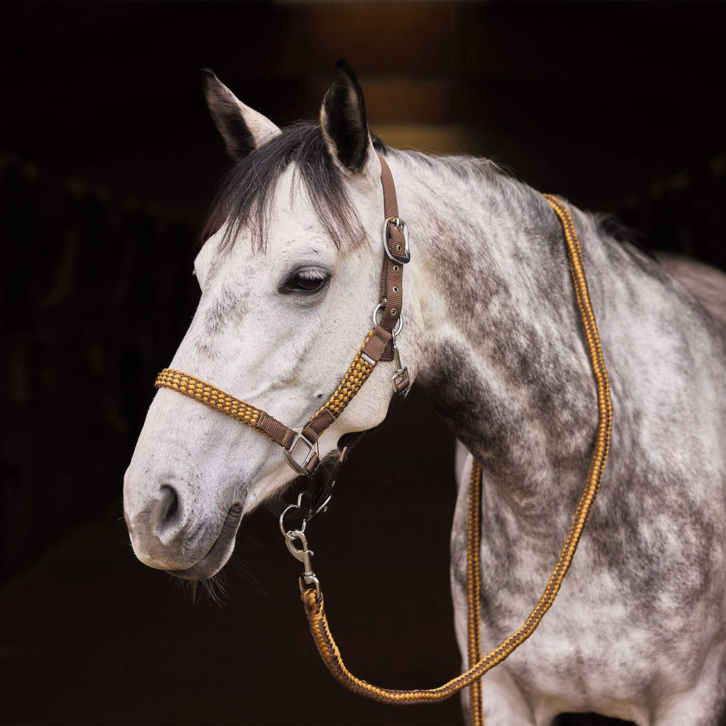 HORZE CABEZADA CON PASEADOR MOD. 22289-CNBR/MBZ-F