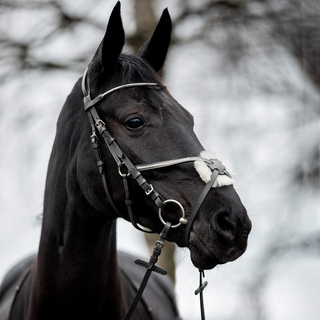 HORZE CABEZADA MEXICANA MOD. 10116