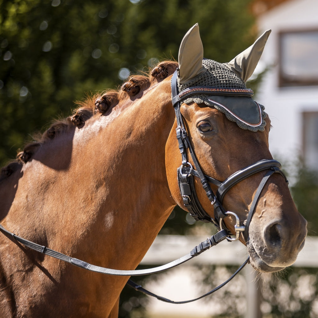 HORZE OREJERAS MOD. 22945-DOGR-P