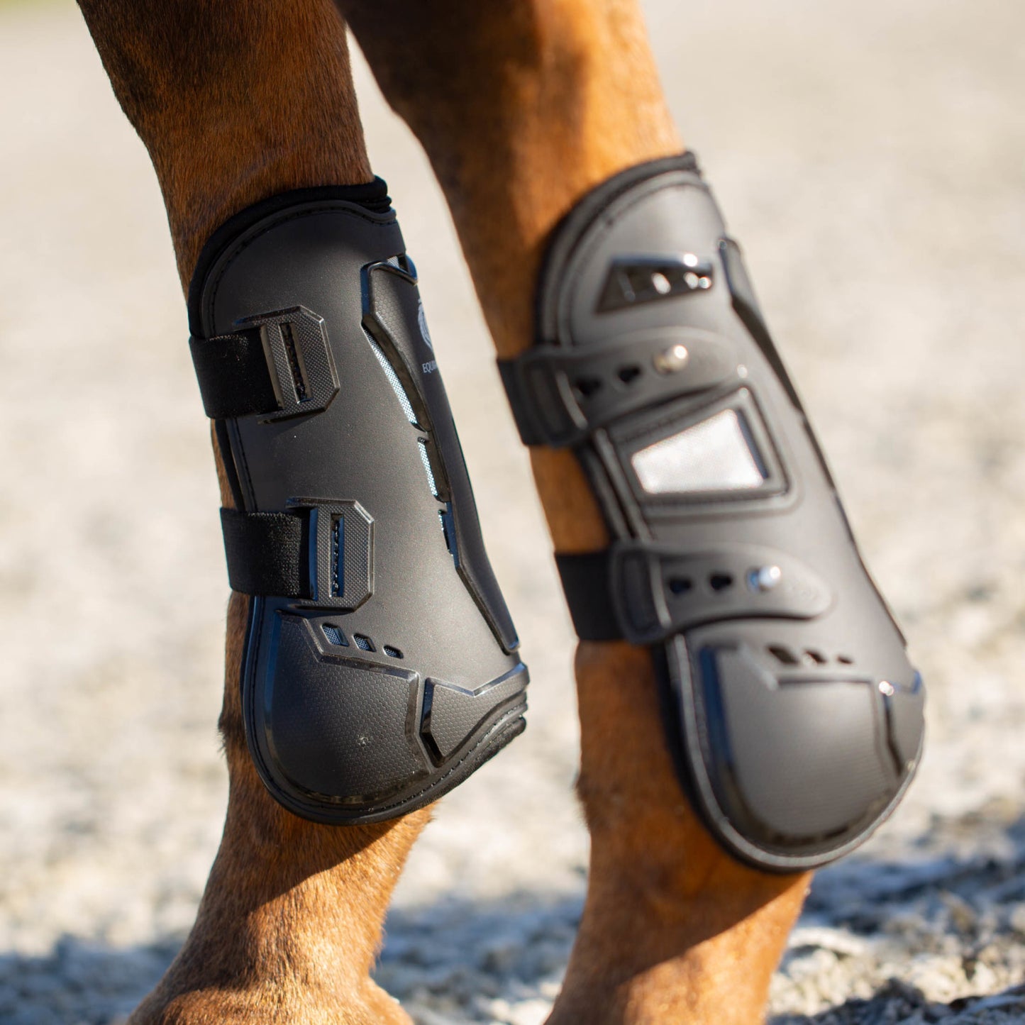EQUINAVIA PROTECTORES DELANTEROS ASGARDIAN OPEN MOD. E18007