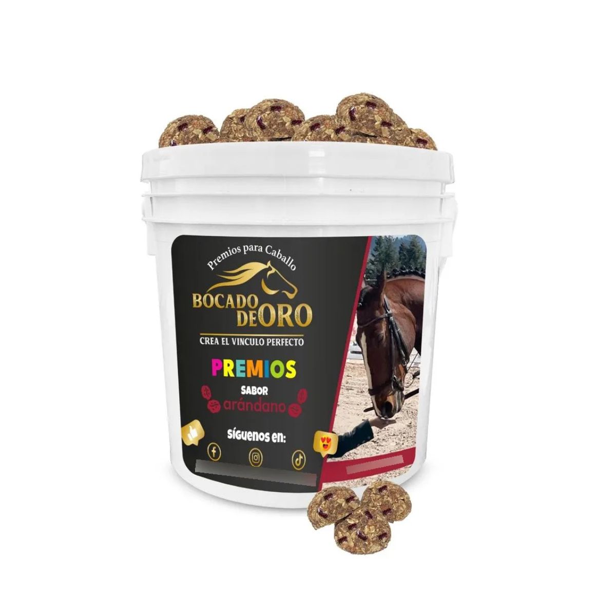 BOCADO DE ORO CUBETA ALIMENTO PREMIO