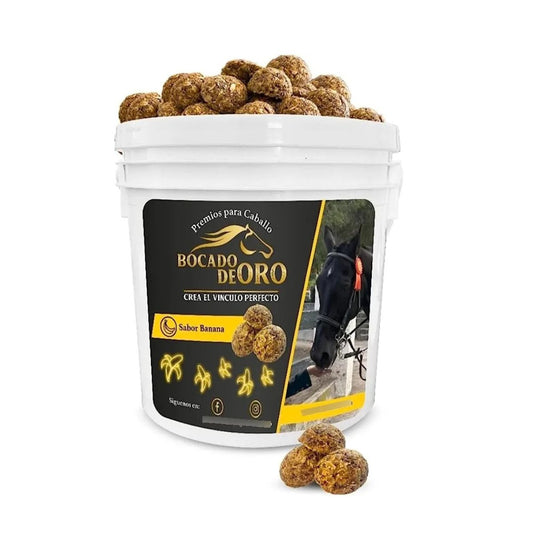 BOCADO DE ORO CUBETA ALIMENTO PREMIO