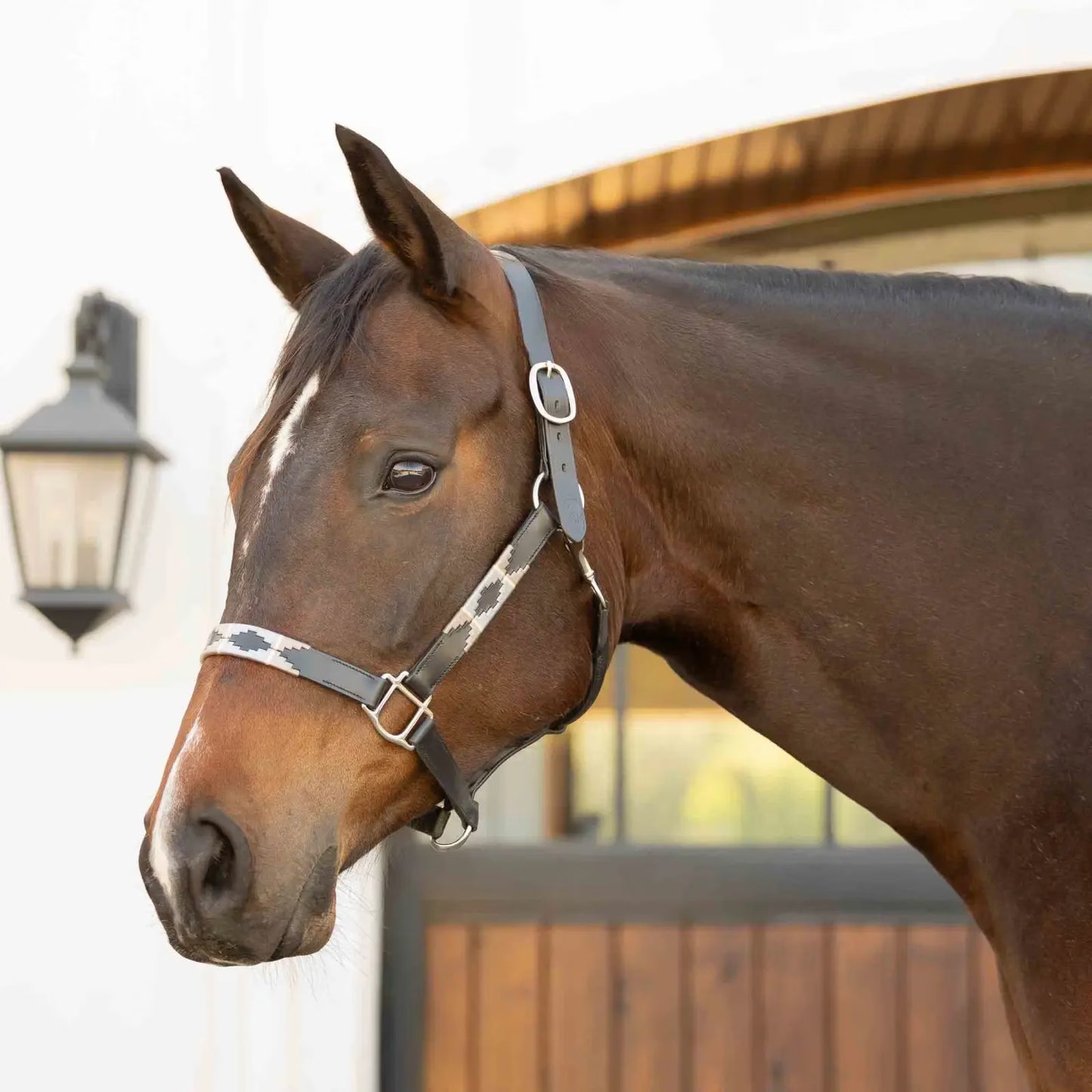 EQUINAVIA CABEZADA DE CUADRA DE CUERO SIRI MOD. E22023