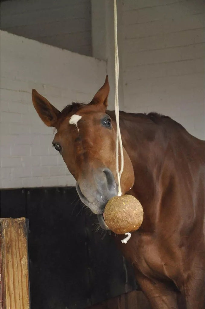 EQUINOLIK BOLA DE SEMILLAS PARA CABALLERIZA 750 GR 736372691750
