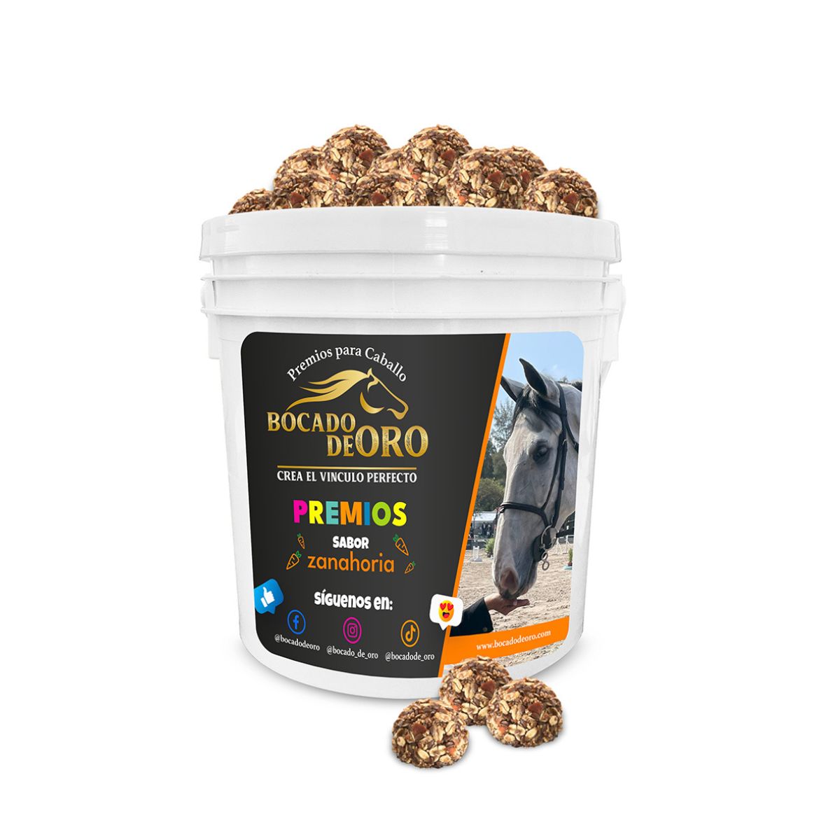 BOCADO DE ORO CUBETA ALIMENTO PREMIO