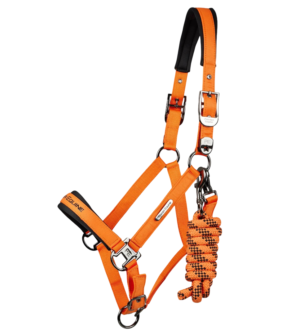 PREMIER EQUINE CABEZADA TEXTIL ACOJINADA C/PASEADOR MOD. 6150