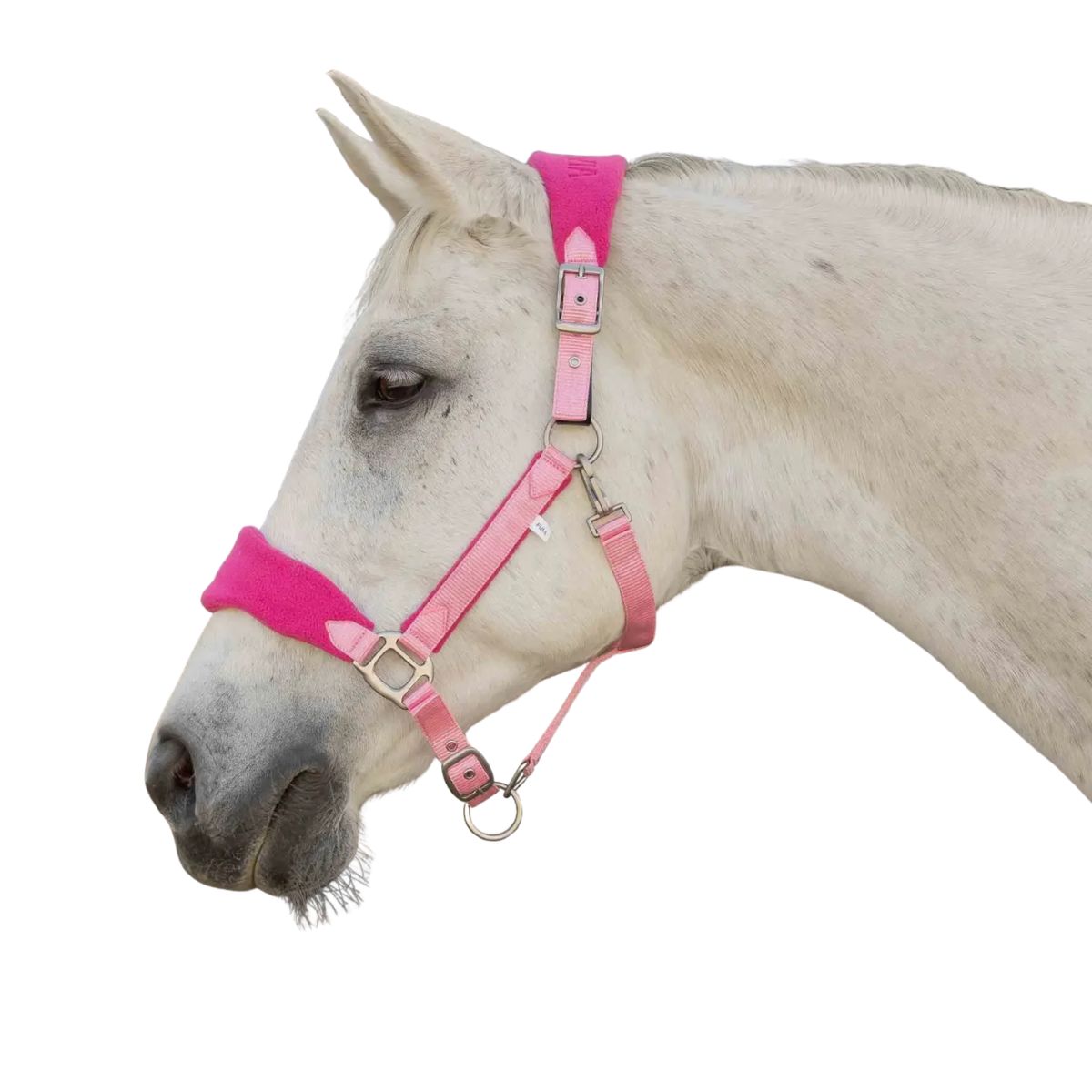 EQUINAVIA CABEZADA TEXTIL C/RECUBRIMIENTO POLAR SAGA MOD. E22015
