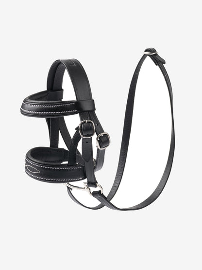 LE MIEUX JUGUETE CABEZADA MOD. IT02100001