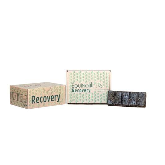 EQUINOLIK CAJA DE BARRAS RECOVERY
