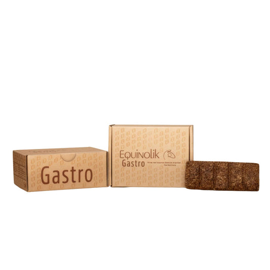 EQUINOLIK CAJA DE BARRAS GASTRO