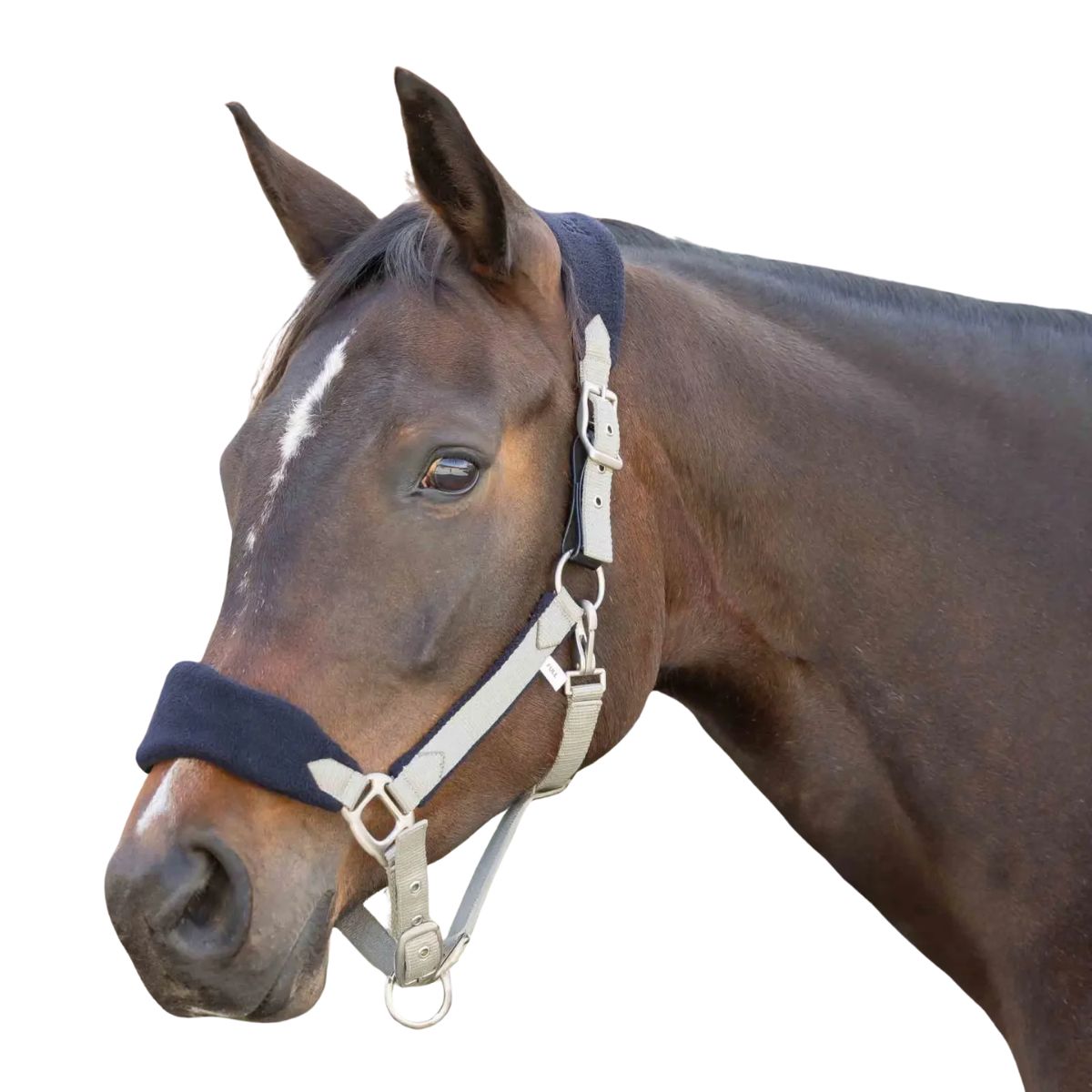 EQUINAVIA CABEZADA TEXTIL C/RECUBRIMIENTO POLAR SAGA MOD. E22015
